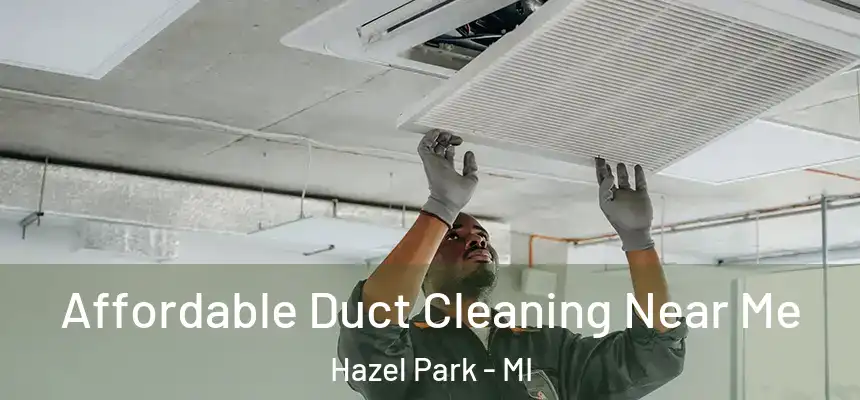  Affordable Duct Cleaning Near Me Hazel Park - MI