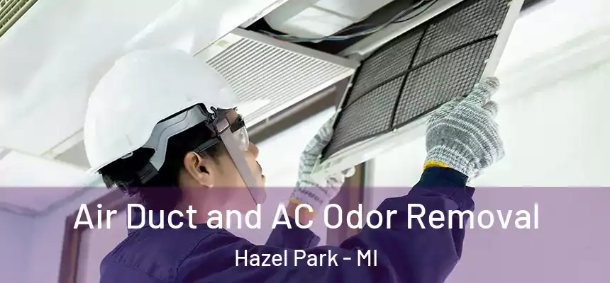  Air Duct and AC Odor Removal Hazel Park - MI