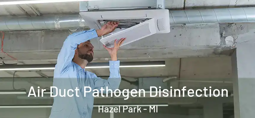  Air Duct Pathogen Disinfection Hazel Park - MI