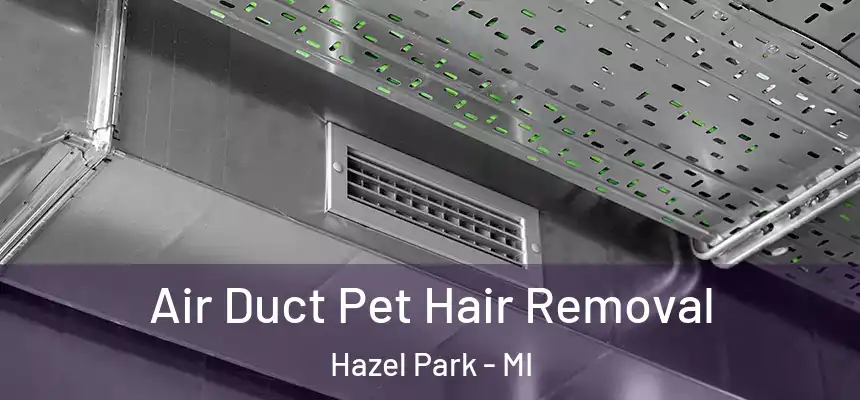  Air Duct Pet Hair Removal Hazel Park - MI