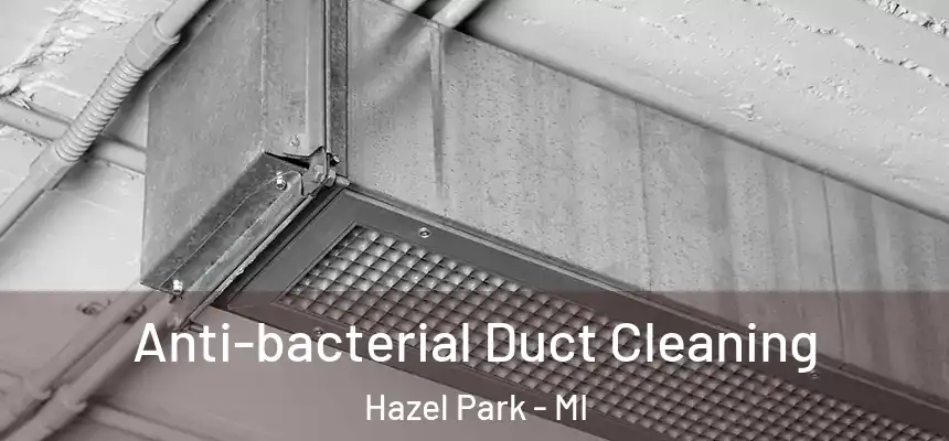  Anti-bacterial Duct Cleaning Hazel Park - MI