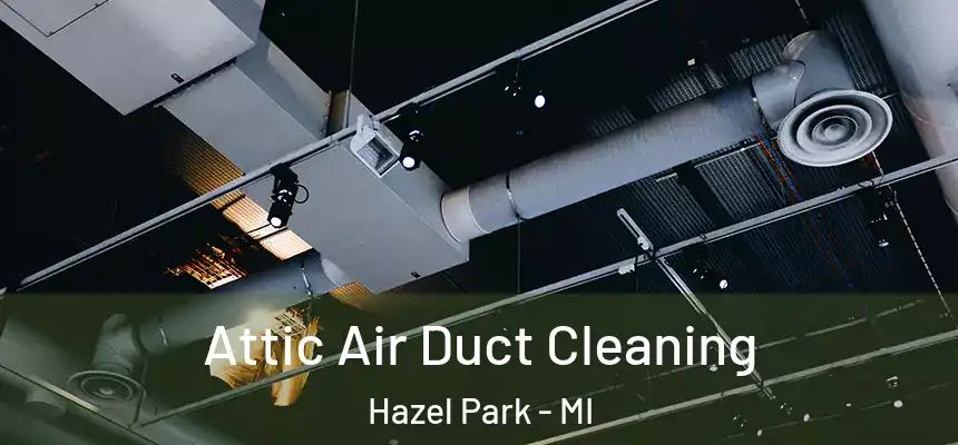  Attic Air Duct Cleaning Hazel Park - MI