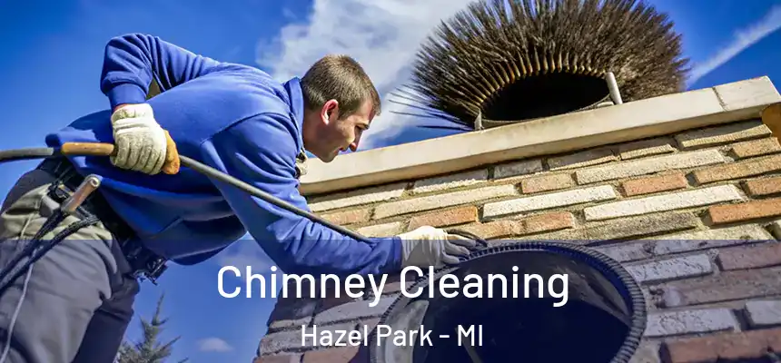  Chimney Cleaning Hazel Park - MI