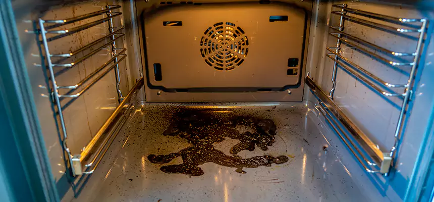 Our Dryer Vent Mold Cleaning Services in Hazel Park, MI