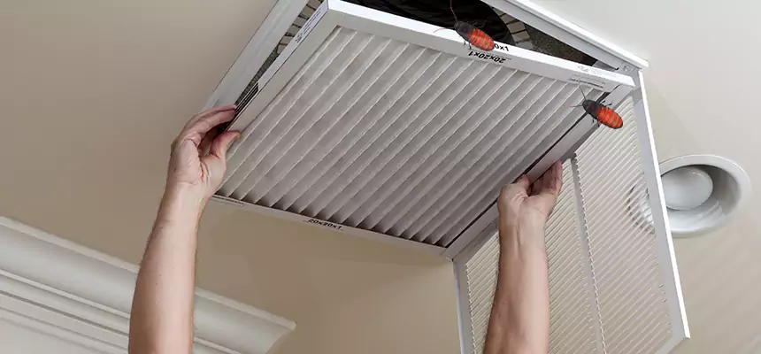 Our Insect Removal from Air Ducts Services in Hazel Park, MI