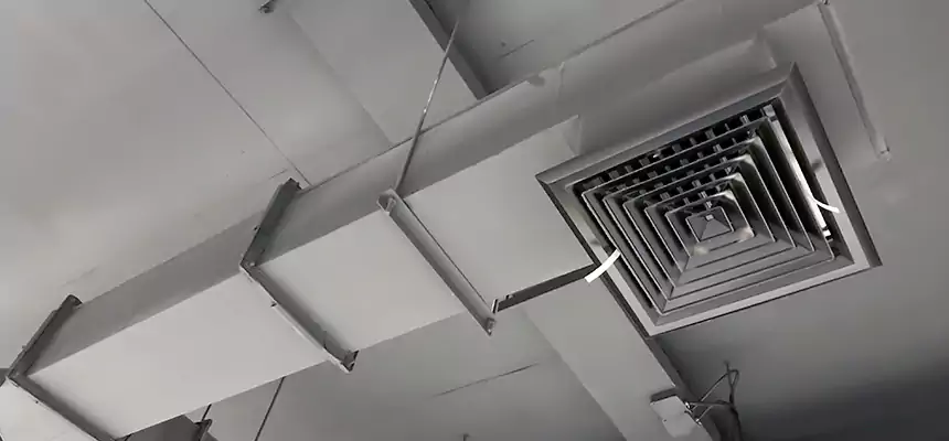 Our Rodent Droppings In Vents Services in Hazel Park, MI