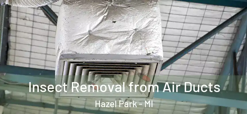  Insect Removal from Air Ducts Hazel Park - MI