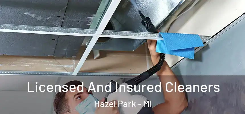  Licensed And Insured Cleaners Hazel Park - MI