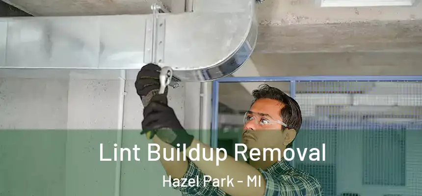  Lint Buildup Removal Hazel Park - MI