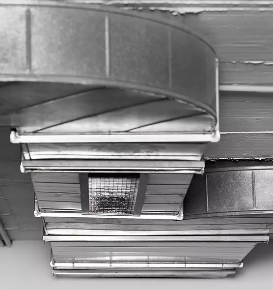 Professional Air Duct Pest Removal in Hazel Park, MI