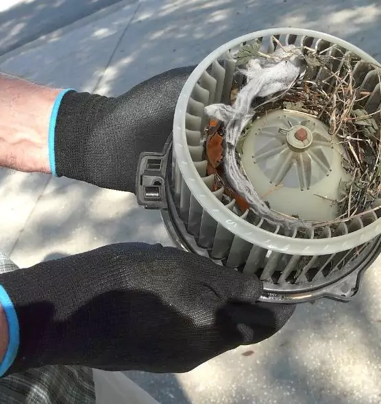 About Air Duct Rat Removal in Hazel Park, MI