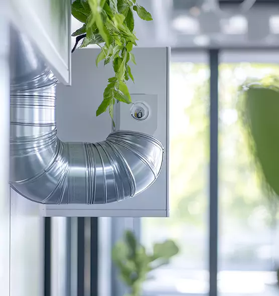 Professional Eco-Safe Dryer Vent Cleaning in Hazel Park, MI