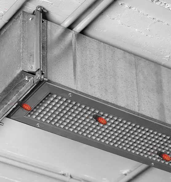 Affordable Insect Removal from Air Ducts in Hazel Park, MI