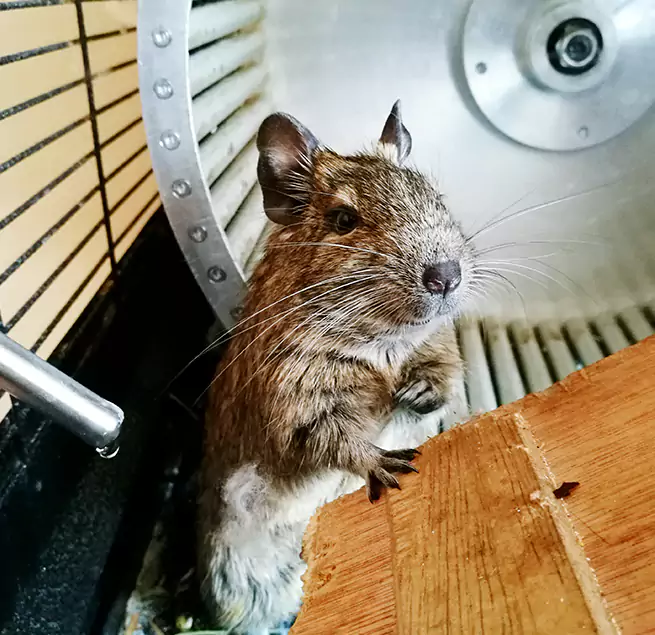 Why Homeowners & Businesses Trust Us Hazel Park, MI?