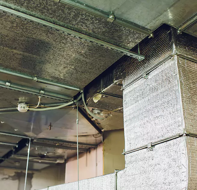 Why Homeowners & Businesses Trust Us in Hazel Park, MI?