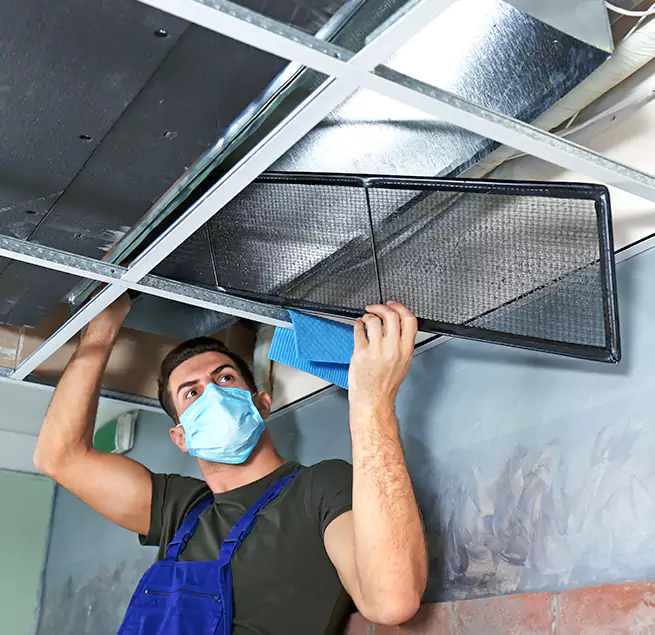  Why Homeowners Businesses Trust Us  in Hazel Park, MI?